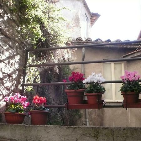 פרוג'ה Le Camere Di Casa Cassandra מראה חיצוני תמונה